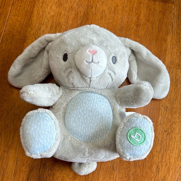 Ingenuity heartbeat Bunny - Picture 2 of 4